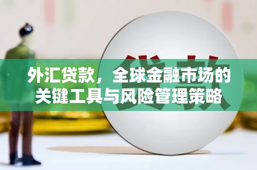 灵石外汇贷款，全球金融市场的关键工具与风险管理策略