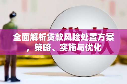 灵石全面解析贷款风险处置方案，策略、实施与优化