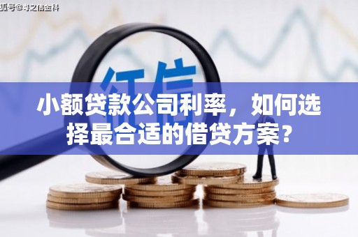 灵石小额贷款公司利率，如何选择最合适的借贷方案？