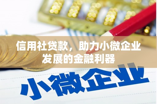 灵石信用社贷款，助力小微企业发展的金融利器