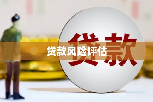 灵石贷款风险评估