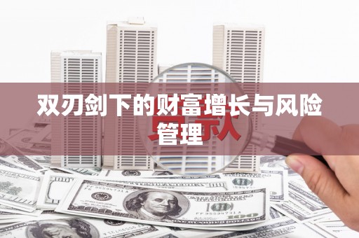 灵石双刃剑下的财富增长与风险管理