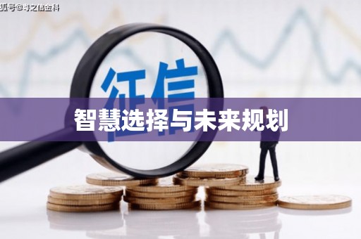 灵石智慧选择与未来规划