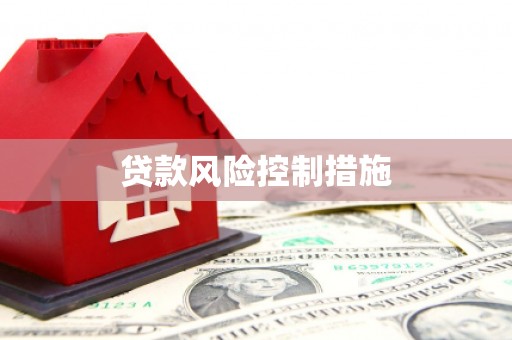 灵石贷款风险控制措施