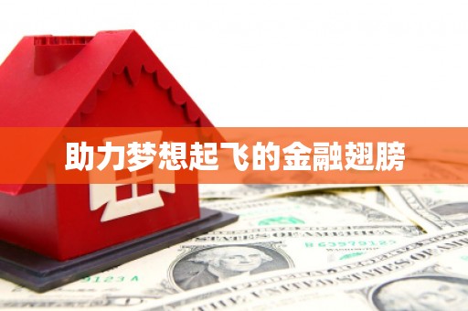 灵石助力梦想起飞的金融翅膀