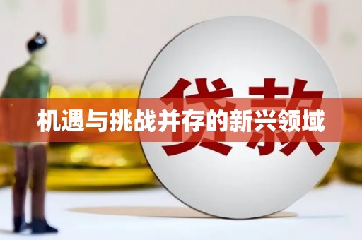 灵石机遇与挑战并存的新兴领域