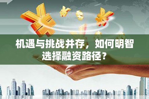 灵石机遇与挑战并存，如何明智选择融资路径？