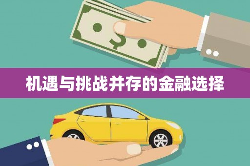 灵石机遇与挑战并存的金融选择